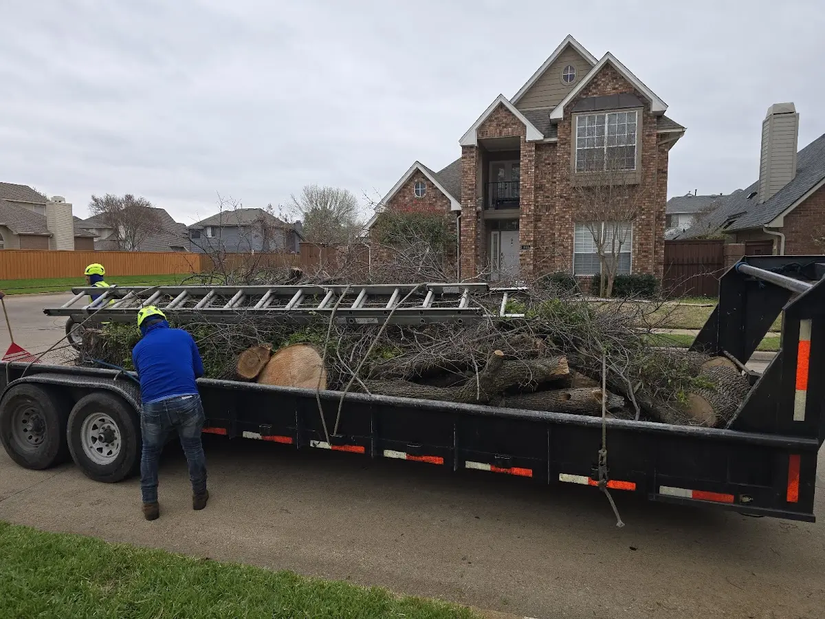 Expert Lot Clearing with proper safety equipment in Douds